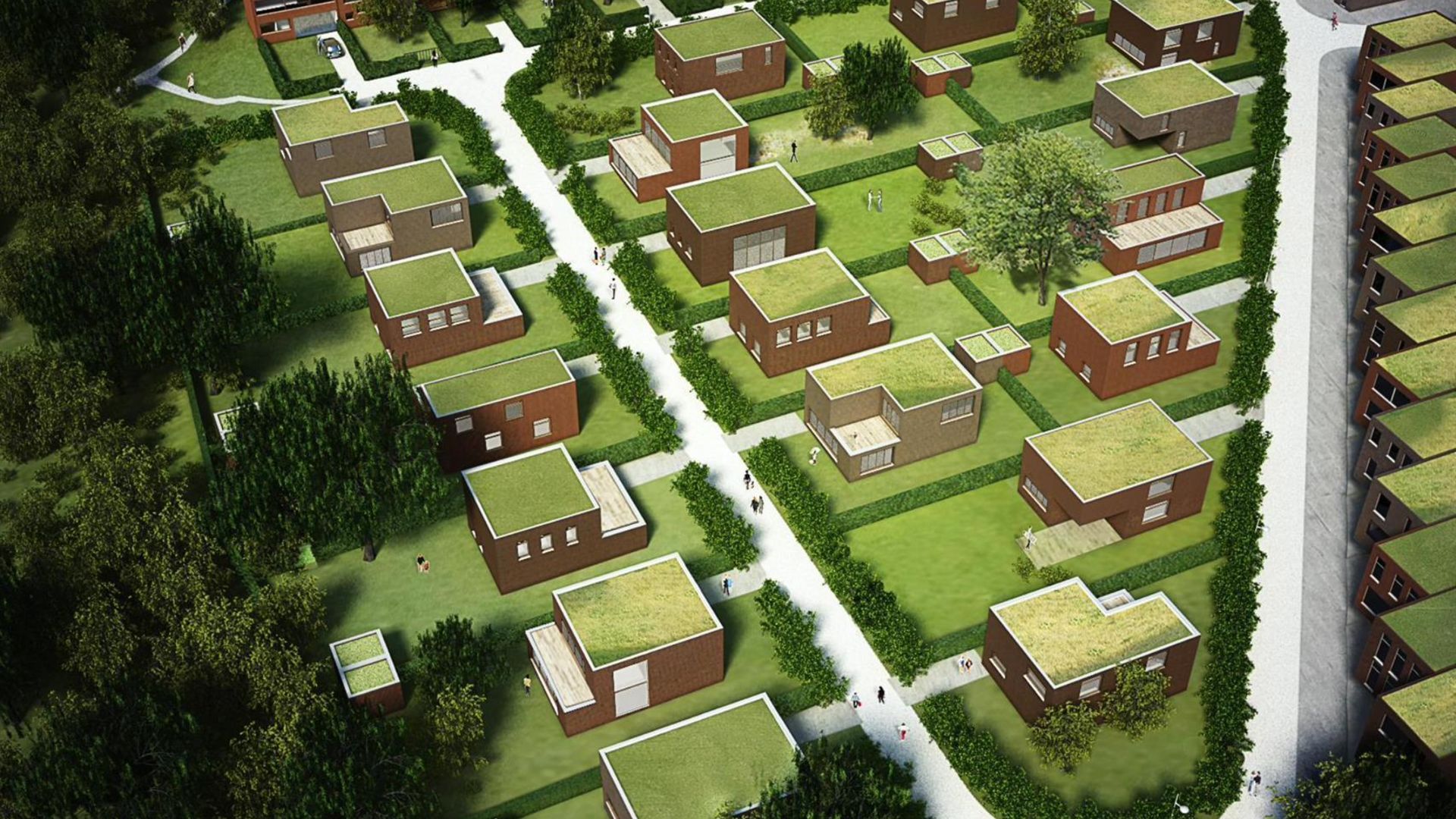 Anemoonproject - Steenhof in Tienen