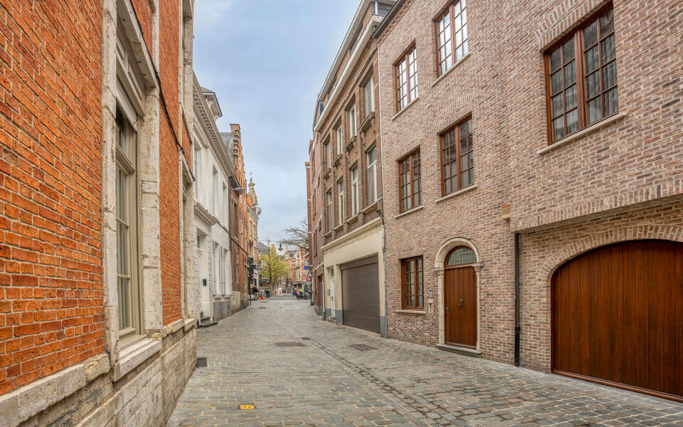 Buitengewoon huis te koop in Leuven
