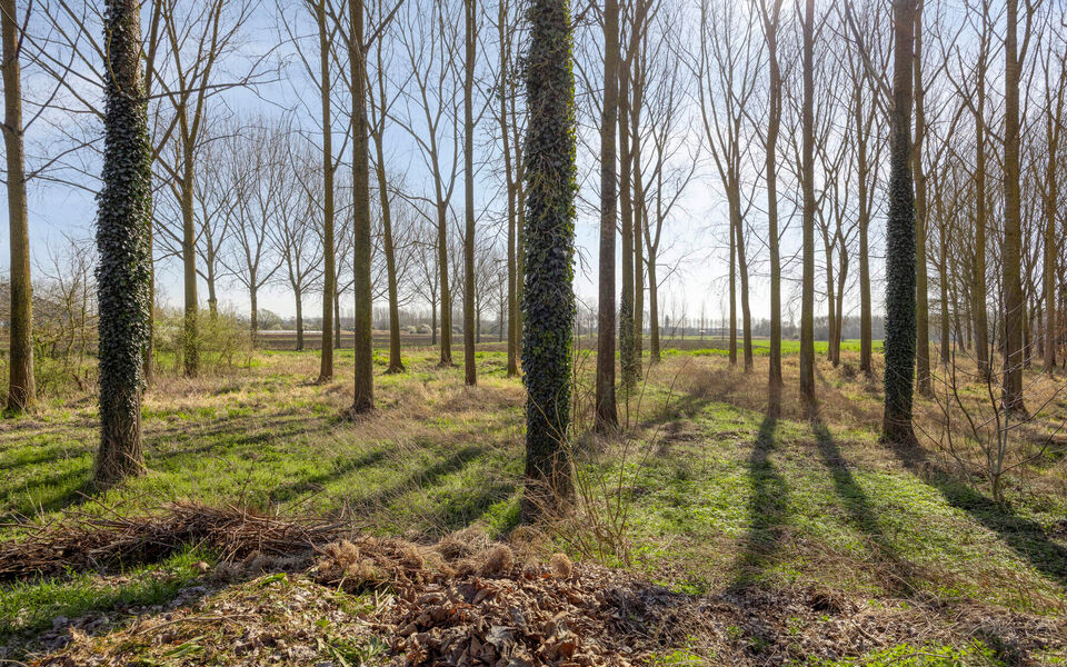 Villa te koop in Geetbets