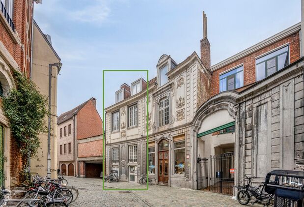 Buitengewoon huis te koop in Leuven